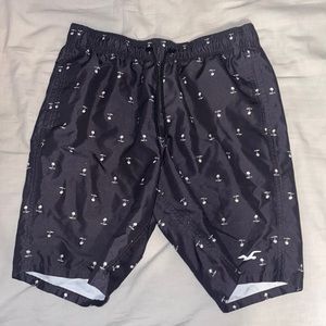 Hollister Mens Swim Trunks